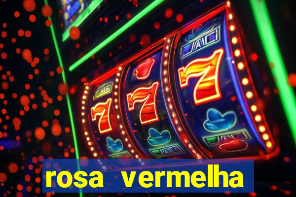 rosa vermelha (letra e cifra)